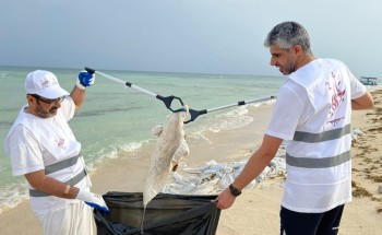 الكلية التقنية بأبها تنفذ مبادرة (الجزيرة البريئة) ضمن مبادرات أجاويد2