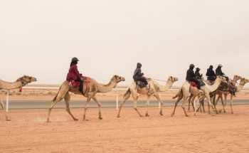 12 هجانة تختتم معسكر الجنادرية