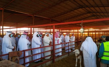 الوكيل المساعد للثروة الحيوانية يزور جمعية ثروة للتنمية الحيوانية بالرياض