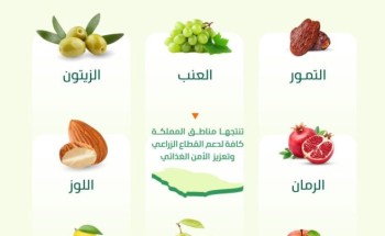 التمور والزيتون والرمان تزين موسم الفواكه المحلية الطازجة بالمملكة خلال سبتمبر الجاري
