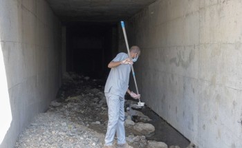 فرق أمانة الطائف تعالج 574 مستنقعاً وبركة مائية لاحتواء المهددات البيئية