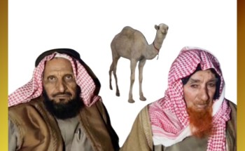 الإهداء في أبهى صورة.. “منور بن فيحان الشويلعي” يٌهدي قعود لـ”شامان بن خلف الشويلعي”