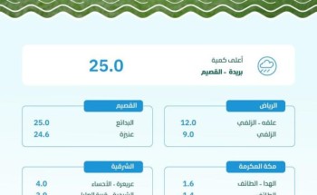 بريدة والبدائع تتصدران كميات الأمطار في المملكة بـ 25 ملم.. وهذه أبرز المناطق المتأثرة