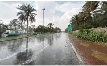 الأرصاد تُحذر من أمطار رعدية وزخات برد ورياح نشطة على عدة مناطق بالمملكة اليوم