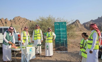 مبادرة بيئية لتنمية الغطاء النباتي في حائل