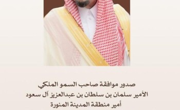 انطلاق مهرجان مزاد الإبل الثاني بالحناكية 10 أكتوبر بموافقة أمير منطقة المدينة المنورة