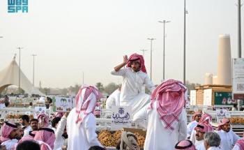 تسويق التمور في كرنفال بريدة.. قلب الحركة الاقتصادية وأكبر منصة عالمية للمزاد العلني