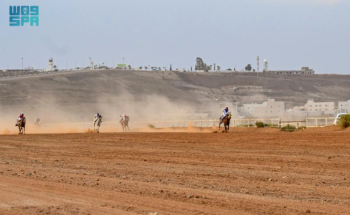 سباق الخيل الثاني في العقيق يشهد حضورًا رسميًا وتنافسًا قويًا بين الجياد المحلية والعربية