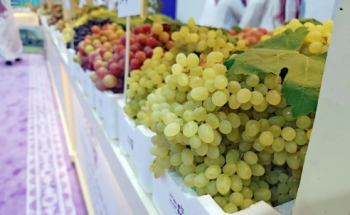 “مكتب الزراعة بالحناكية” يشارك في مهرجان العنب الأول للتعريف بالإنتاج المحلي ودعم المزارعين