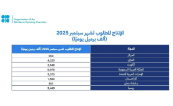 المملكة وسبع دول في أوبك+ تقرر رفع إنتاج النفط بـ547 ألف برميل يوميًا اعتبارًا من سبتمبر 2025