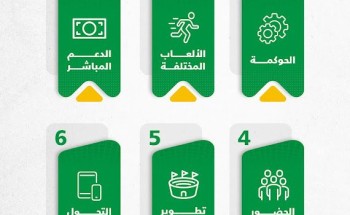 «وزارة الرياضة» تطلق استراتيجية شاملة لدعم الأندية ورفع كفاءتها الإدارية والمالية