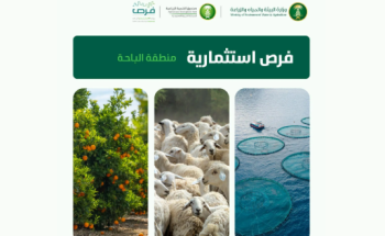 البيئة تعلن عن 4 فرص استثمارية زراعية وسمكية في الباحة لتعزيز الأمن الغذائي وتحقيق الاكتفاء الذاتي