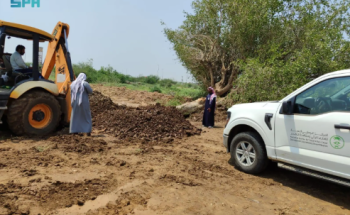 إعادة تأهيل شجرة “ضبر” المعمرة في صامطة بعد سقوطها