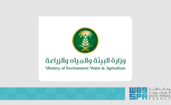 وزارة البيئة تطلق ثلاث فرص استثمارية زراعية بمنطقة مكة لتعزيز الأمن الغذائي وتنمية الغطاء النباتي
