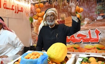 مهرجان الحمضيات بجذب الزوّار ويجمع بين التسوق الزراعي والترفيه المسرحي