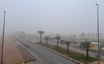 الأرصاد تحذر من رياح مثيرة للأتربة وضباب في عدة مناطق بالمملكة