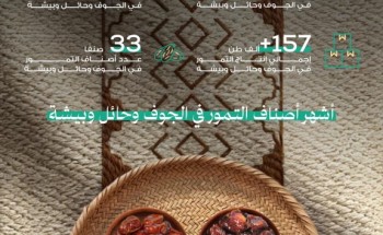 33 صنف تمر و3.5 مليون نخلة.. حلوة الجوف وصفري بيشة تتألق على موائد رمضان