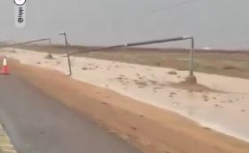 رياح قوية.. سقوط أكثر من 12 عمود كهرباء دون خسائر بشرية بطريق رياض الخبراء (شاهد)