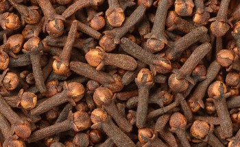 النمر يكشف السر: لماذا لا يُعتمد على القرنفل في وقف النزيف؟