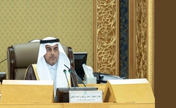 مجلس الشورى يصدر قرارات وتوصيات لتعزيز كفاءة الأداء الحكومي ودعم التنمية