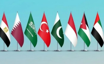 السعودية ومصر وتركيا ودول أخرى تستنكر انتهاكات بحق محتجزي أسطول غزة