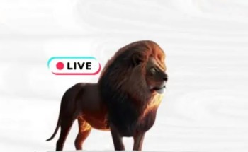 اقتصاد “الهدايا الرقمية”: كيف نوازن بين المكاسب الفردية والاستقرار المجتمعي؟