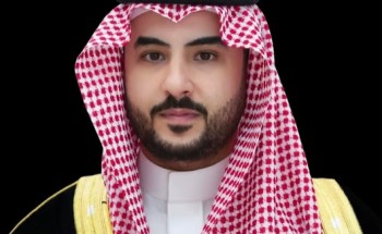 وزير الدفاع يبحث مع نظيرته في جنوب أفريقيا تعزيز التعاون العسكري والدفاعي