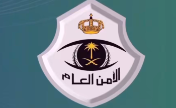 ضبط 6 وافدين لممارستهم أفعالًا منافية للآداب داخل مركز مساج بالمدينة المنورة