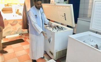 بلدية بارق تصادر ٤٠ كيلو من الأسماك ‬