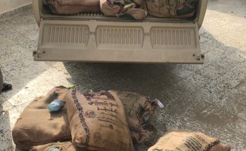 دوريات مركز عثوان تحبط تهريب أكثر من 700 حزمة من القات