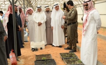 غرس 1000 شجرة من نبات المورينقا والسدر بإصلاحية الرياض