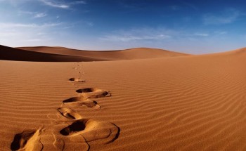 العثور على مفقود الأفلاج وقد علقت سيارته في الرمال وإحدى الآبار أبقته على قيد الحياة