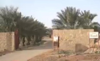 بالفيديو.. مواطن يفتح مزرعته طوال العام مجاناً متنزهاً لأهالي الجوف ووافديها والمارين بها