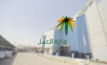 كيف ردت «العمل والتنمية» على بلاغات رجال تعرضوا للعنف من زوجاتهم؟