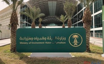 “البيئة”: مكافحة الجراد في مكة والمدينة والرياض.. وتوقعات بقدوم مزيد من الأسراب إلى المملكة