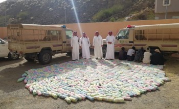 بالصور.. دوريات محافظة الداير تنجح في ضبط مخالفين ومهربات متنوعة