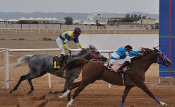 غداً.. ميدان فروسية حائل يقيم حفل سباقه السادس