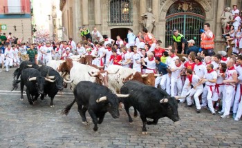 استجابة لرغبة الأهالي.. عدم تنظيم فعالية جري الثيران في المدينة القديمة بشقراء