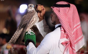 تعرف على هواية تربية الصقور وعراقتها