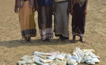 بالصور.. حرس الحدود يحبط تهريب طن وربع “حشيش” ويلقي القبض على 37 شخصاً متورطين في العملية