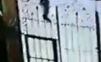 شاهد بالفيديو.. لص يتسلق منزل مواطن بمكة في عز الظهر والرعب “سمّر” العائلة