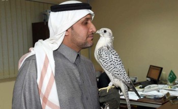 شاب “أصم” يتغلب على إعاقته ويخاطب الصقور بلغة الإشارة.. تعرف على قصته