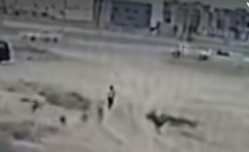 بالفيديو.. كلاب ضالة تهاجم طفلًا في أثناء عودته من المدرسة