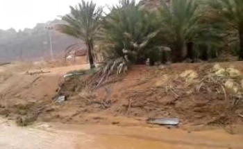 المدينة.. وفاة شخص وإنقاذ 94 محتجزاً في «سيول العلا»