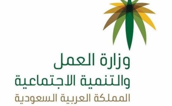 “العمل” تطلق مبادرة “تمديد صلاحية تأشيرة العمل” لسنتين دون رسوم إضافية