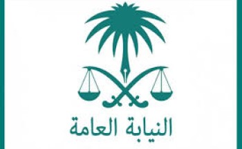 “النيابة العامة” تحذر من جرائم وحدات الإخصاب وعلاج العقم