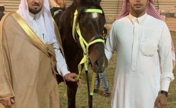 مربط الخفيج للخيول العربية يشارك في فعاليات كرنفال الجوف
