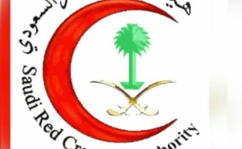 حادث تصادم على طريق صبيا القوز ينتج عنه اصابتين