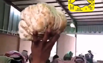 شاهد.. بيع أكبر فقعة في سوق حفر الباطن بمبلغ 1050 ريالاً