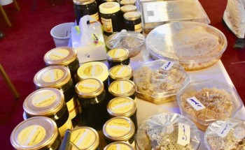 لجنة فحص العسل تتابع يوميًّا المهرجان الدولي الـ12 بالباحة